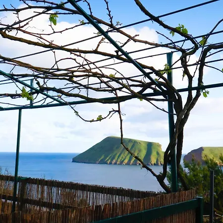 Casa Da Avo Couta Holiday home