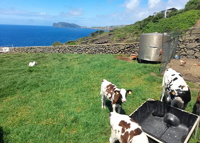 Casa Da Avo Couta Nyaraló