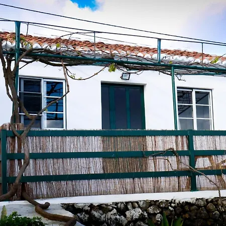 Semesterbostad Casa Da Avo Couta *