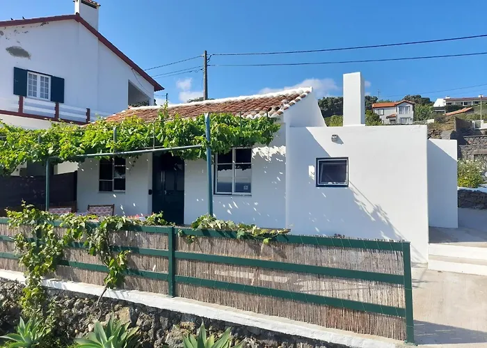 Prázdninový dům Casa Da Avo Couta *